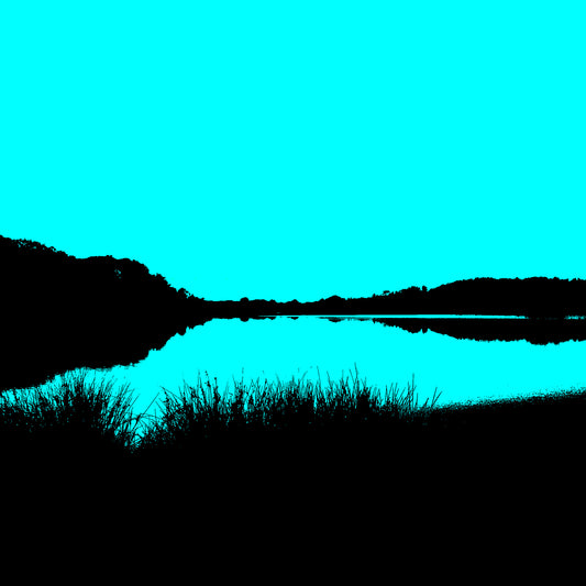 Vivid Country - Sawtell Bonville Creek to the Sea - 1053v31 - Close Detail View, a minimalist coastal landscape with black silhouettes of foliage and a bold cyan sky reflected in a still waterway, composed in a high-contrast, Pop Art style.