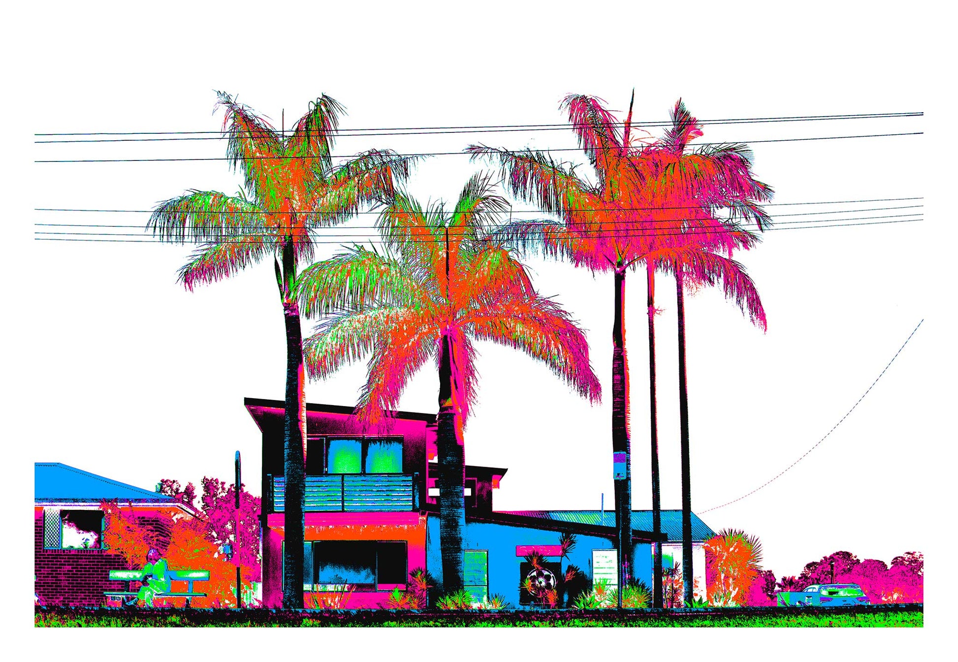 Vivid Country - Sawtell Coastal Palms - 7461v27 - 104x74cm, a bold, Pop Art-inspired coastal streetscape featuring five vibrant palm trees towering over modernist homes and vintage cars, rendered in electric tones of pink, orange, blue, and green with stark graphic contrast.