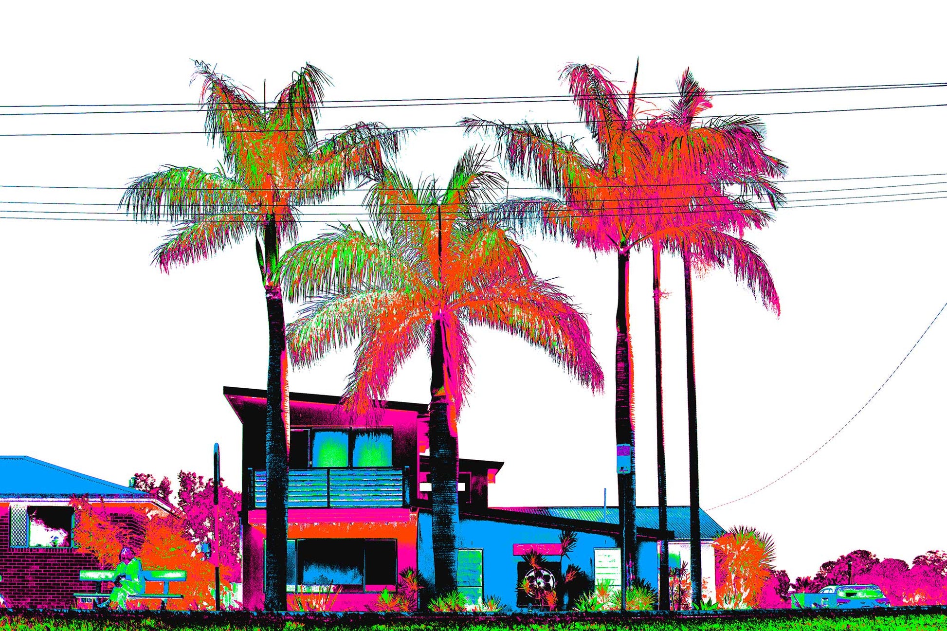 Vivid Country - Sawtell Coastal Palms - 7461v27 - 90x60cm, a bold, Pop Art-inspired coastal streetscape featuring five vibrant palm trees towering over modernist homes and vintage cars, rendered in electric tones of pink, orange, blue, and green with stark graphic contrast.
