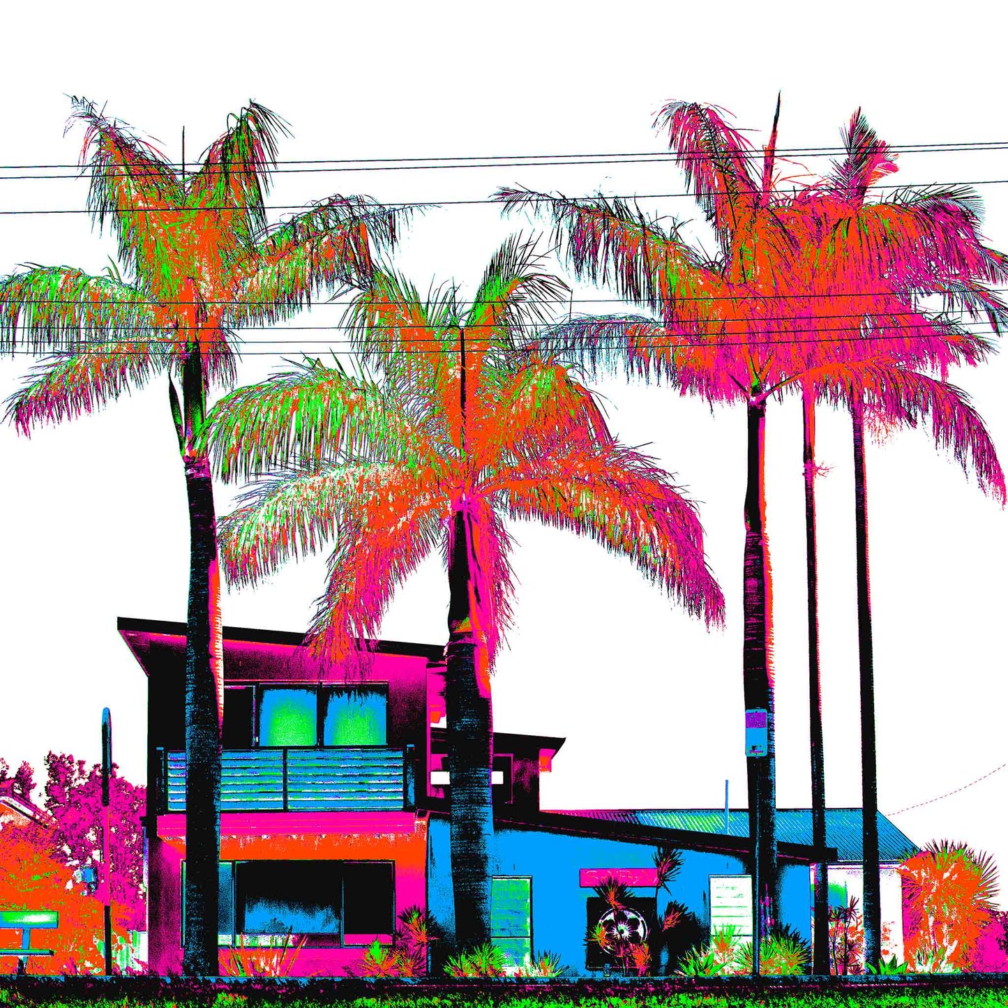 Vivid Country - Sawtell Coastal Palms - 7461v27 - Close Detail View, a bold, Pop Art-inspired coastal streetscape featuring five vibrant palm trees towering over modernist homes and vintage cars, rendered in electric tones of pink, orange, blue, and green with stark graphic contrast.