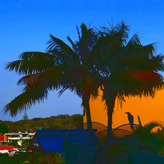 Vivid Country - Sawtell Palm Magpie - 5322v21 - Close Detail View, a lone magpie perches in silhouette beneath palm trees at sunrise, framed by vivid blocks of orange and deep blue in a stylised Pop Art-inspired composition of a suburban coastal morning.