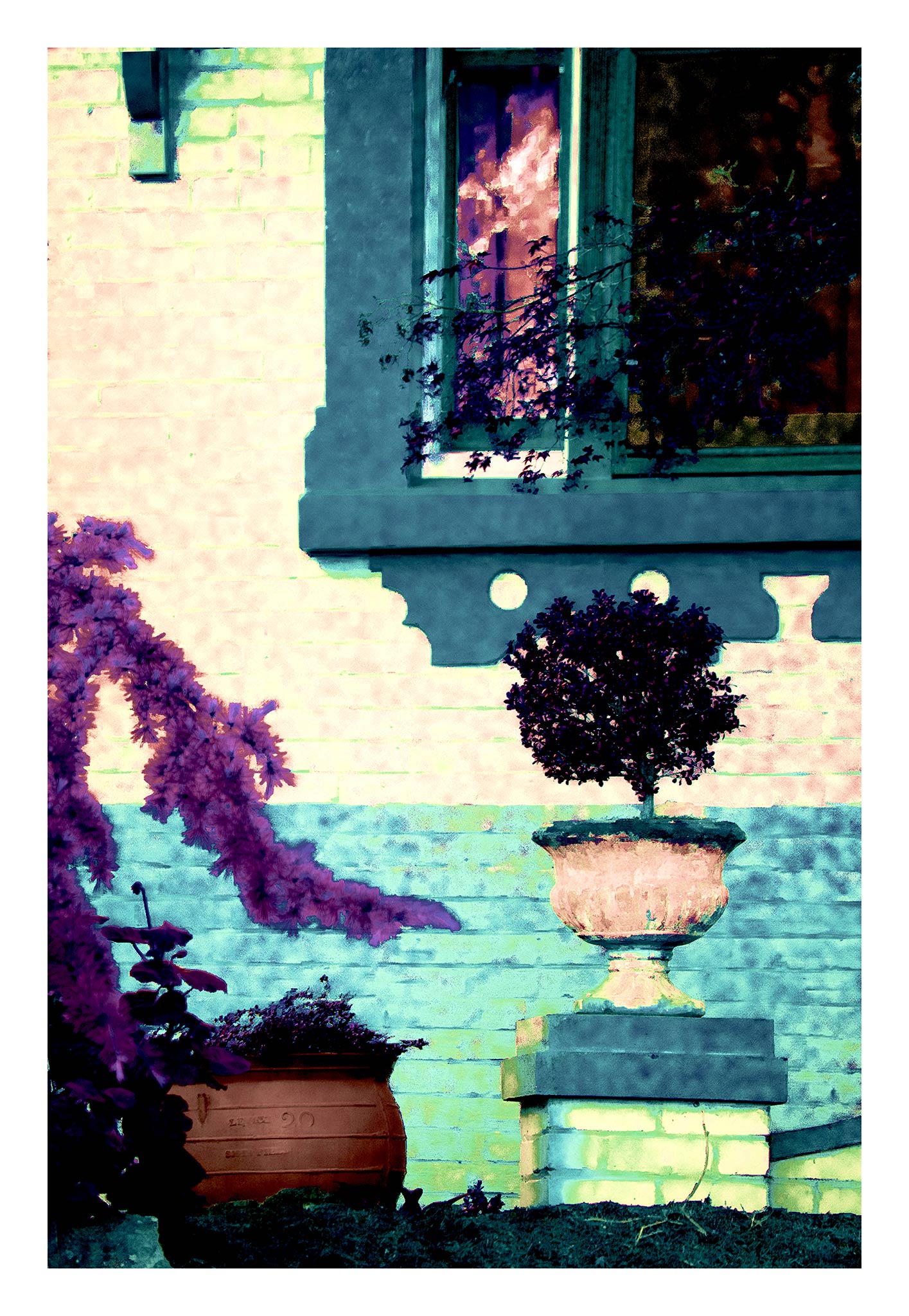 Vivid Country - Tamworth Garden Pot Plant - 4819-2v20a - 74x104cm, a stylised garden scene showing a potted topiary in a classical urn, framed by lavender-toned foliage and a turquoise brick wall. A window reflects soft light, adding warmth and subtle narrative to the Pop Art-style image.