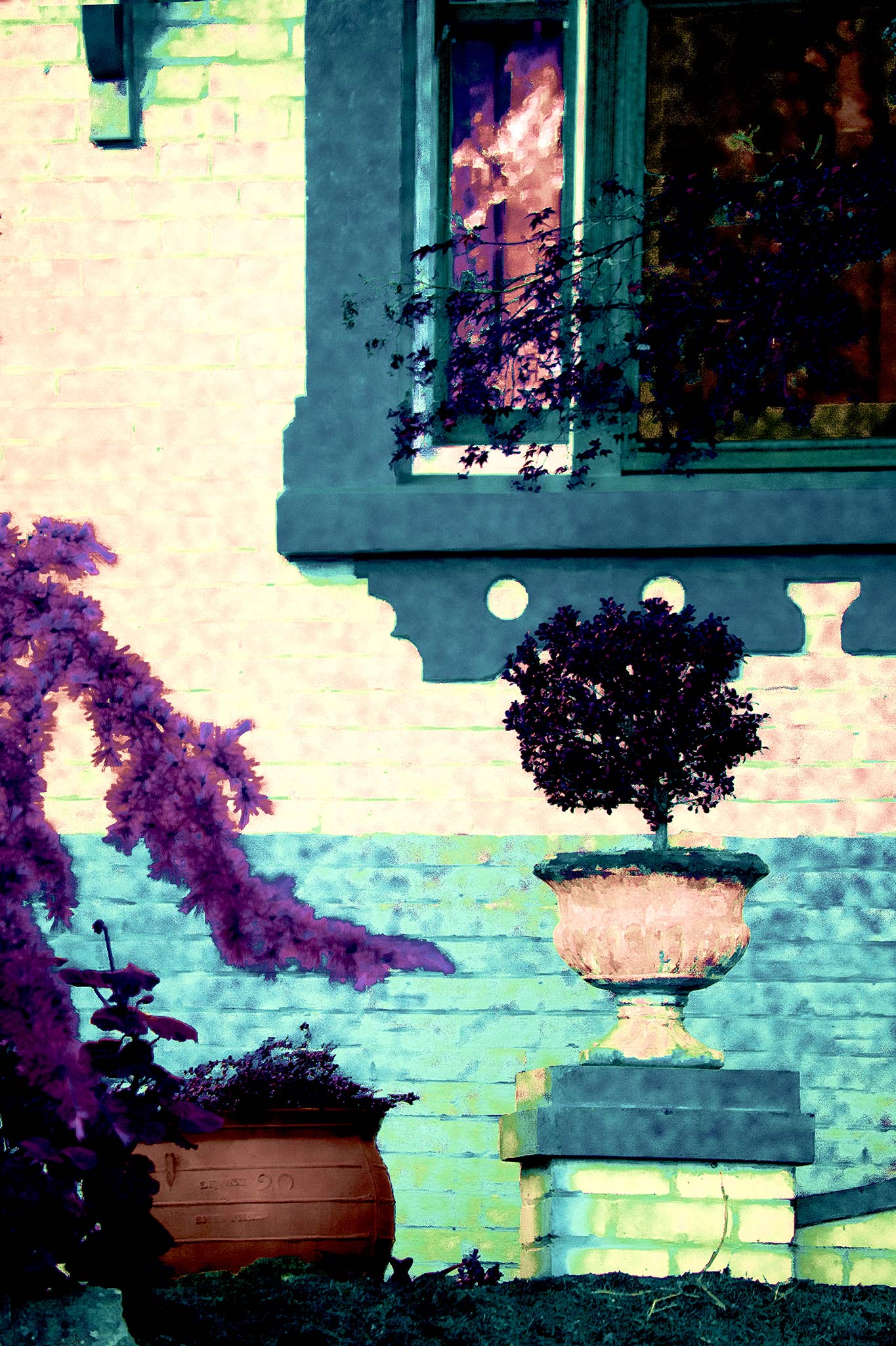 Vivid Country - Tamworth Garden Pot Plant - 4819-2v20a - 60x90cm, a stylised garden scene showing a potted topiary in a classical urn, framed by lavender-toned foliage and a turquoise brick wall. A window reflects soft light, adding warmth and subtle narrative to the Pop Art-style image.