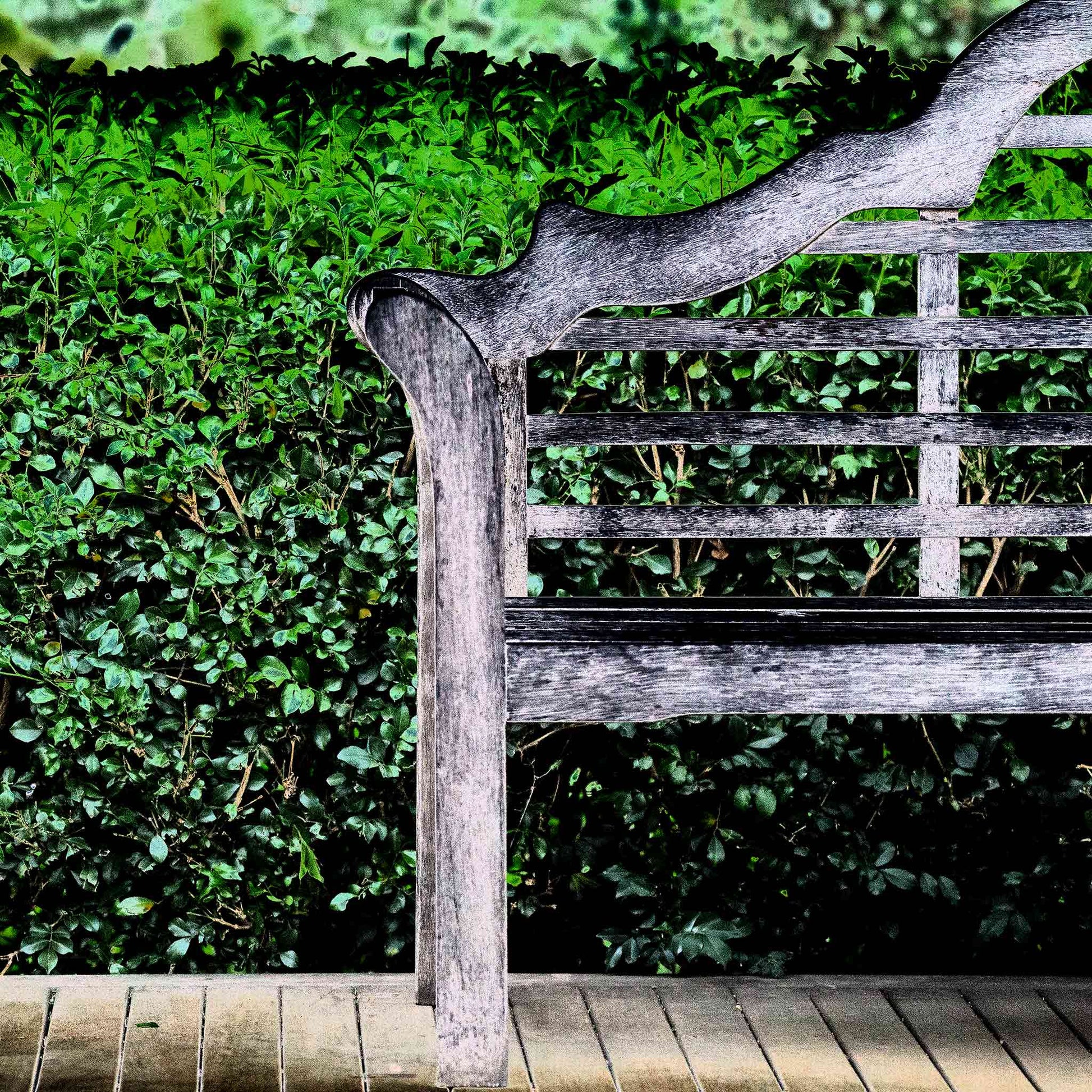 Vivid Country - Tamworth Garden Seat - 4749v29 - Close Detail View, a fine art Pop Art-style photograph of a weathered timber garden bench partially framed against a dense green hedge. The image evokes simplicity, symmetry, and quiet reflection in a curated natural space.