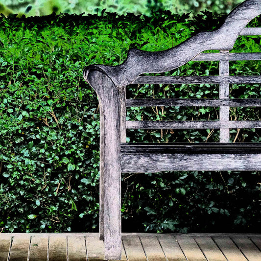 Vivid Country - Tamworth Garden Seat - 4749v29 - Close Detail View, a fine art Pop Art-style photograph of a weathered timber garden bench partially framed against a dense green hedge. The image evokes simplicity, symmetry, and quiet reflection in a curated natural space.