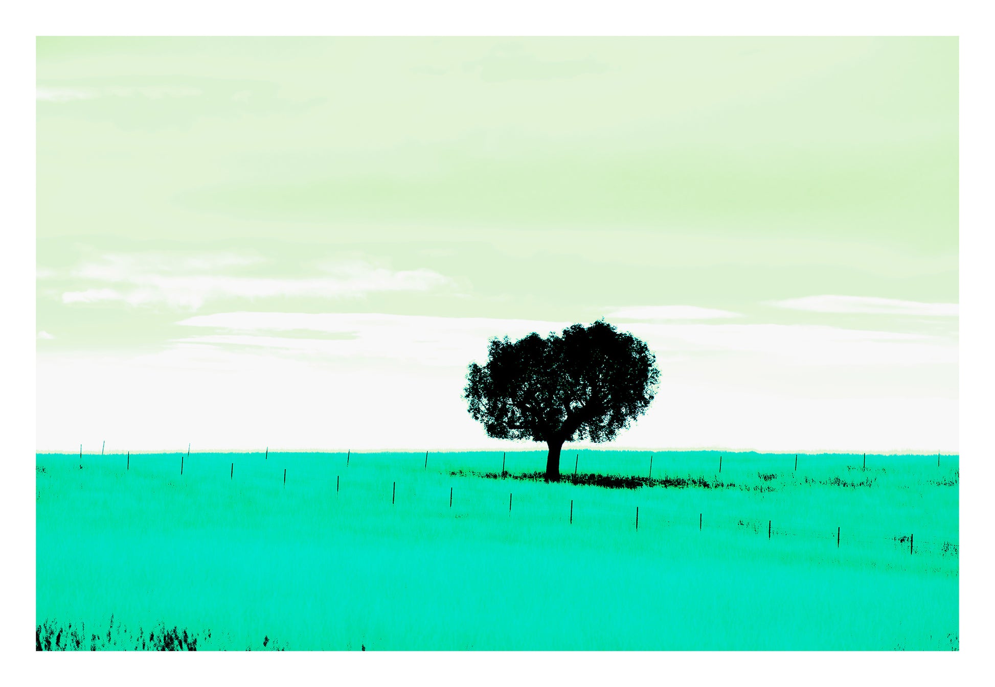 Vivid Country - Tamworth Moore Creek - 2853v209a - 104x74cm, a lone tree stands in a vast green field under a pale mint sky, framed by evenly spaced fence posts. A minimalist Pop Art style landscape evoking stillness, solitude, and connection to place.