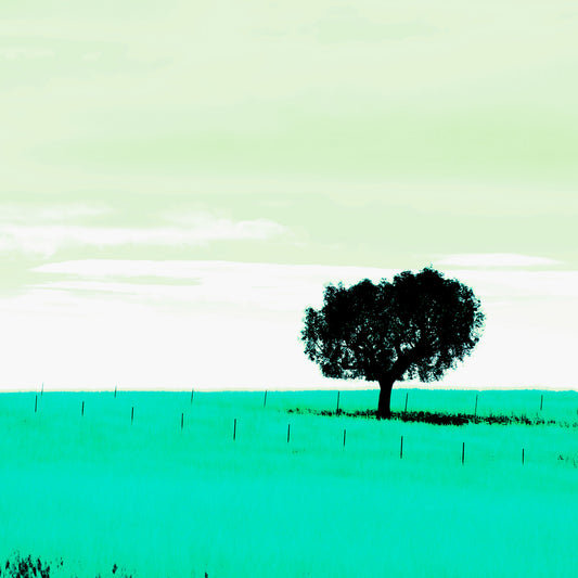 Vivid Country - Tamworth Moore Creek - 2853v209a - Close Detail View, a lone tree stands in a vast green field under a pale mint sky, framed by evenly spaced fence posts. A minimalist Pop Art style landscape evoking stillness, solitude, and connection to place.