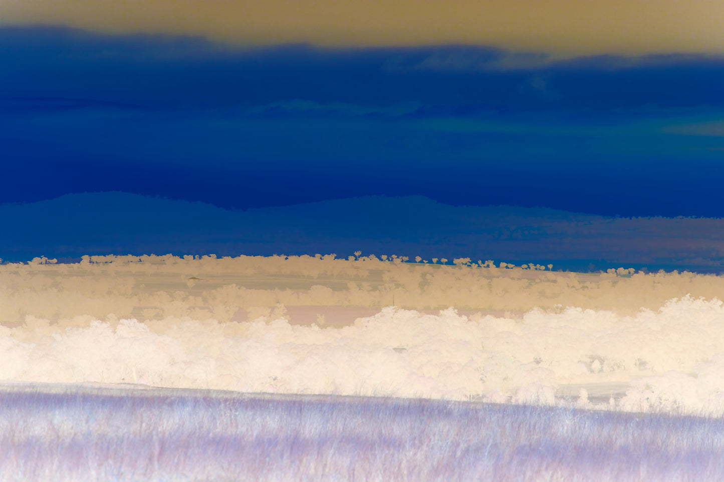 Vivid Country - Tamworth Moore Creek - 2884v6 - 90x60cm, a soft-focus Pop Art landscape in muted pastel and deep indigo tones showing rolling hills and scattered trees near Tamworth. The inverted palette creates a dreamlike, contemplative view of rural Australia.