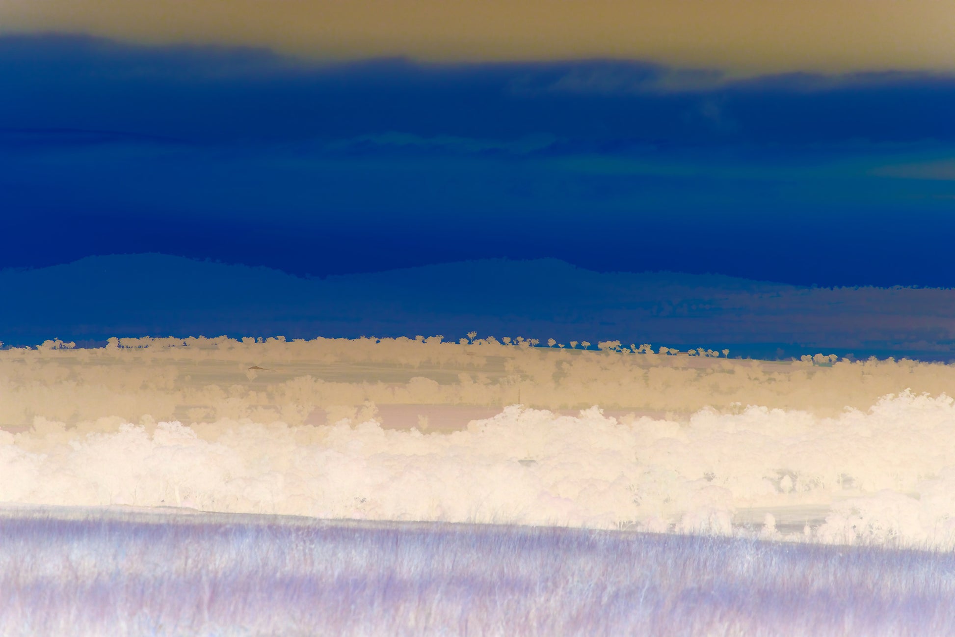 Vivid Country - Tamworth Moore Creek - 2884v6 - 90x60cm, a soft-focus Pop Art landscape in muted pastel and deep indigo tones showing rolling hills and scattered trees near Tamworth. The inverted palette creates a dreamlike, contemplative view of rural Australia.