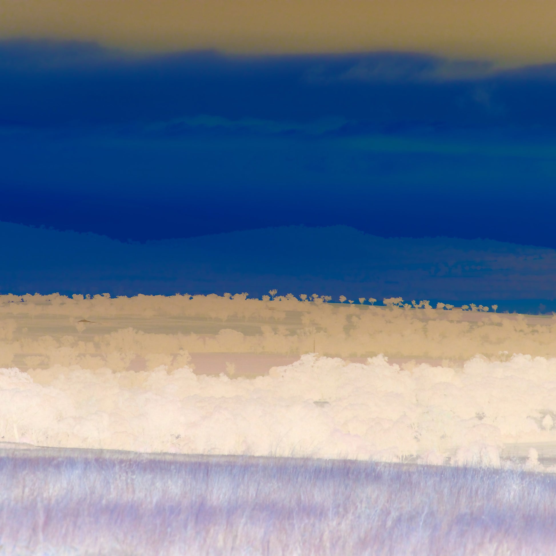 Vivid Country - Tamworth Moore Creek - 2884v6 - Close Detail View, a soft-focus Pop Art landscape in muted pastel and deep indigo tones showing rolling hills and scattered trees near Tamworth. The inverted palette creates a dreamlike, contemplative view of rural Australia.