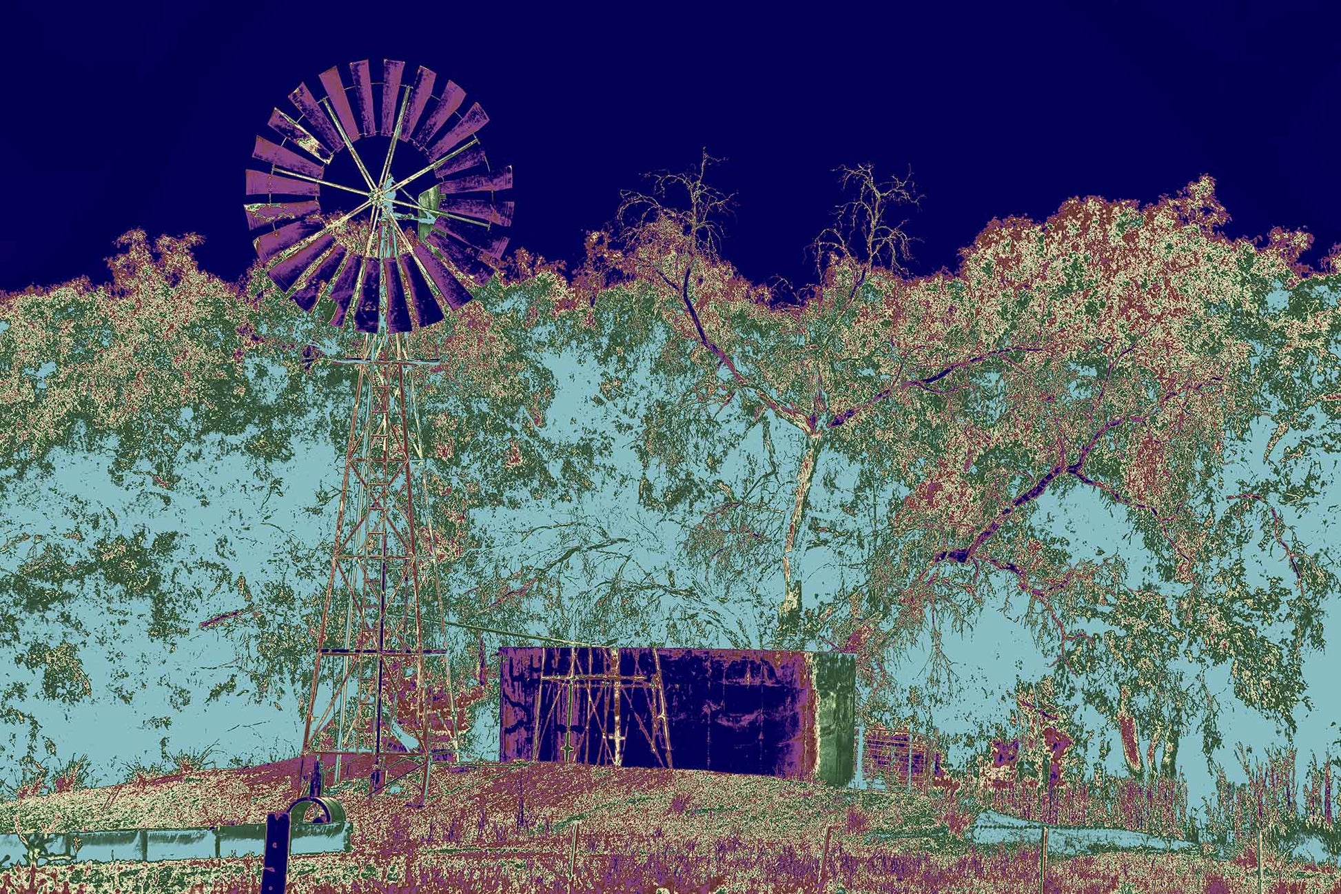 Vivid Country - Tamworth Windmill - 4739v10 - 90x60cm, a tall metal windmill stands beside a large tank under stylised eucalyptus trees, set against a bold Pop Art sky of navy and pastel blue. Earthy purples and greens evoke a transformed rural landscape full of mood and memory.