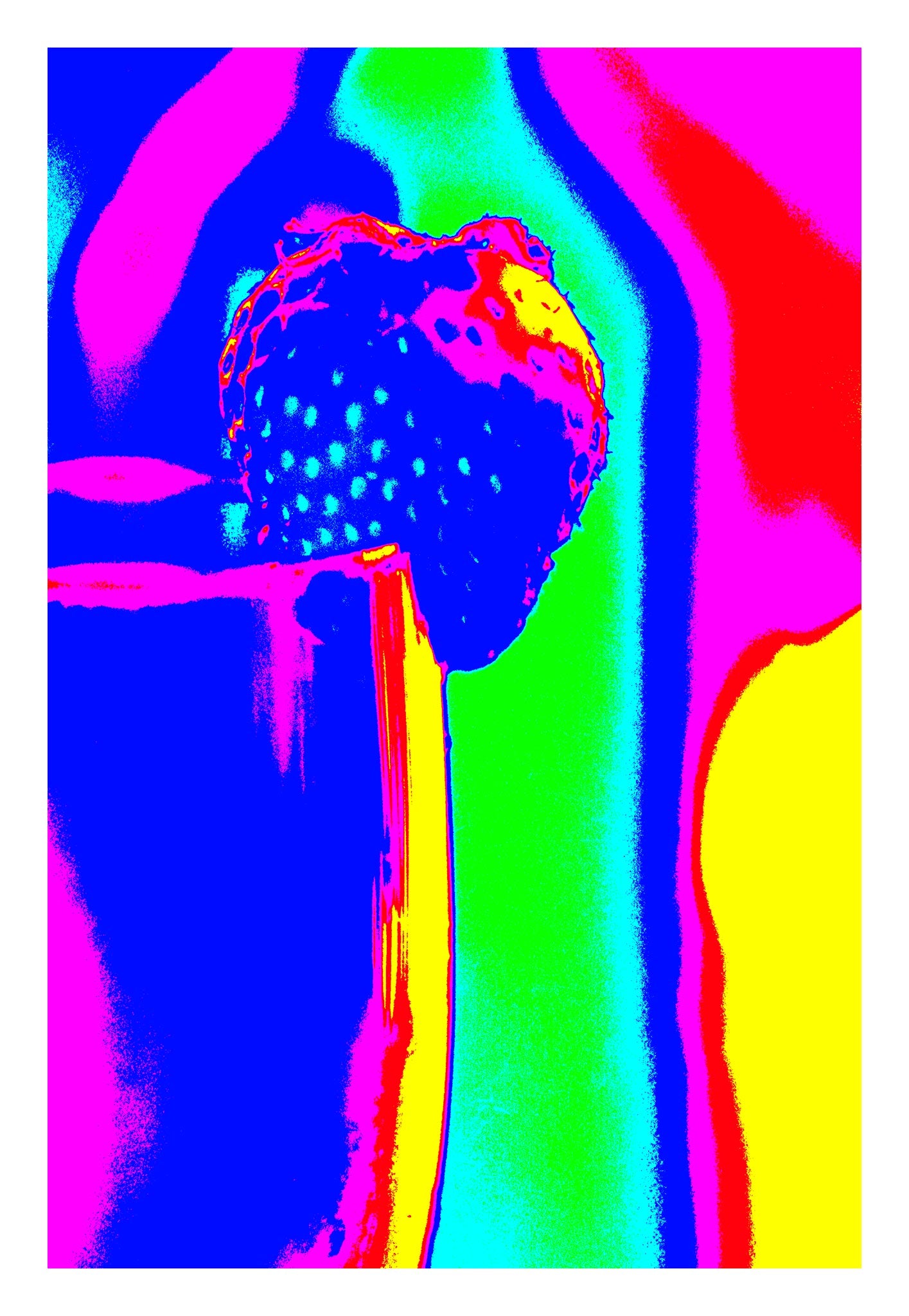 Vivid Country - Trinity Beach - Champagne Strawberry Cheers - 200003v10b - 74x104cm, Pop art-style image of a strawberry on the rim of a champagne glass, rendered in vibrant neon colours including magenta, blue, red, green, and yellow, set against a radiating background of psychedelic stripes.