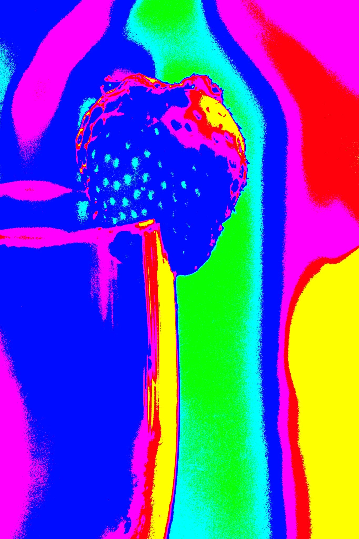 Vivid Country - Trinity Beach - Champagne Strawberry Cheers - 200003v10b - 60x90cm, Pop art-style image of a strawberry on the rim of a champagne glass, rendered in vibrant neon colours including magenta, blue, red, green, and yellow, set against a radiating background of psychedelic stripes.