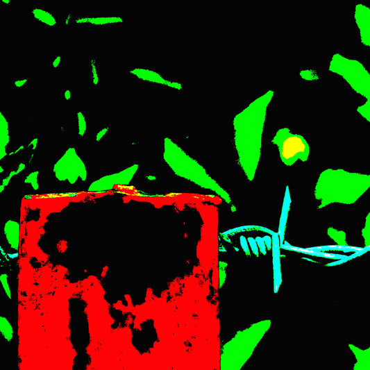Vivid Country - Urliup Barbed Wire Fence - 5945v8a - Close Detail View, a close-up Pop Art-style fine art print showing a weathered red fence post and barbed wire against a high contrast background of neon green leaves and black shadow. Vivid rural minimalism captured in graphic detail.