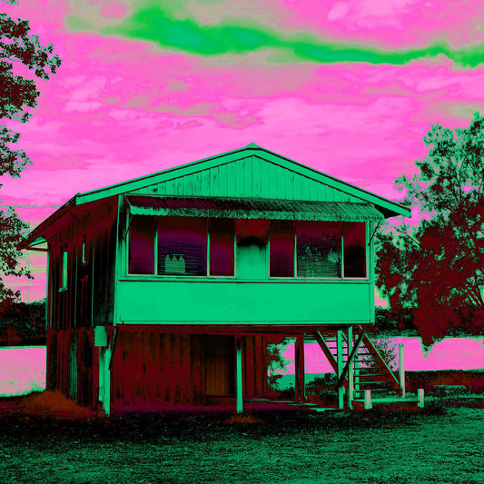 Vivid Country - Urunga River House - 6394v24a - Close Detail View, a Pop Art style fine art print depicting a raised weatherboard house beside the river in Urunga, NSW. Rendered in vibrant green and pink tones with rich shadowing, the image celebrates everyday architecture and riverside stillness.