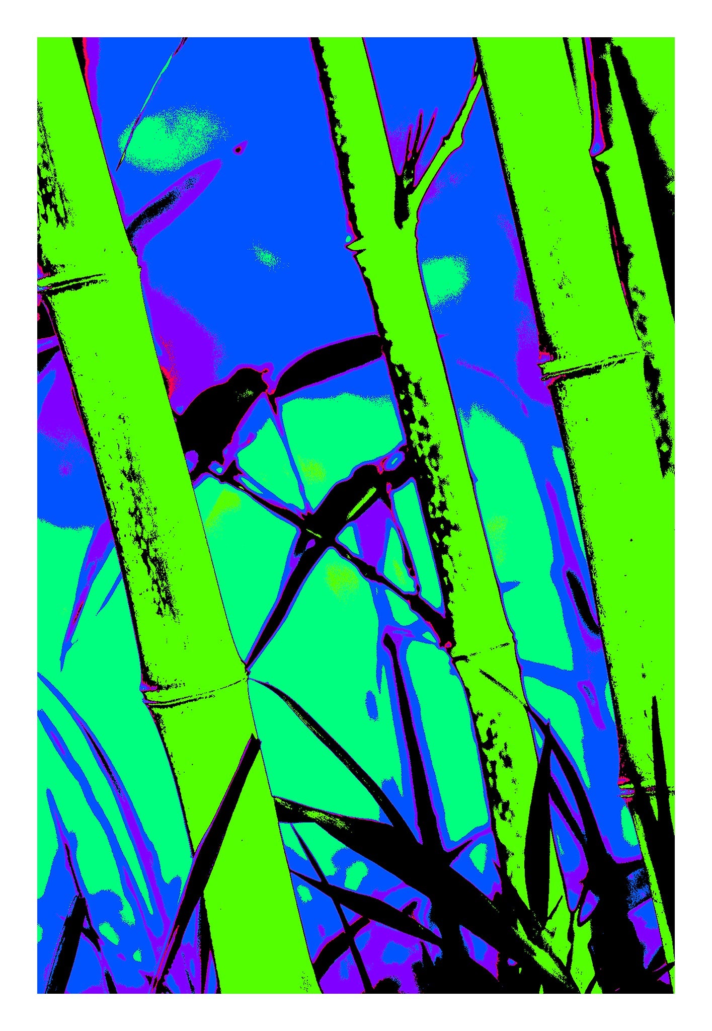 Xtra POP Set - Bamboo - 60x90cm Vertical (#102v5a)