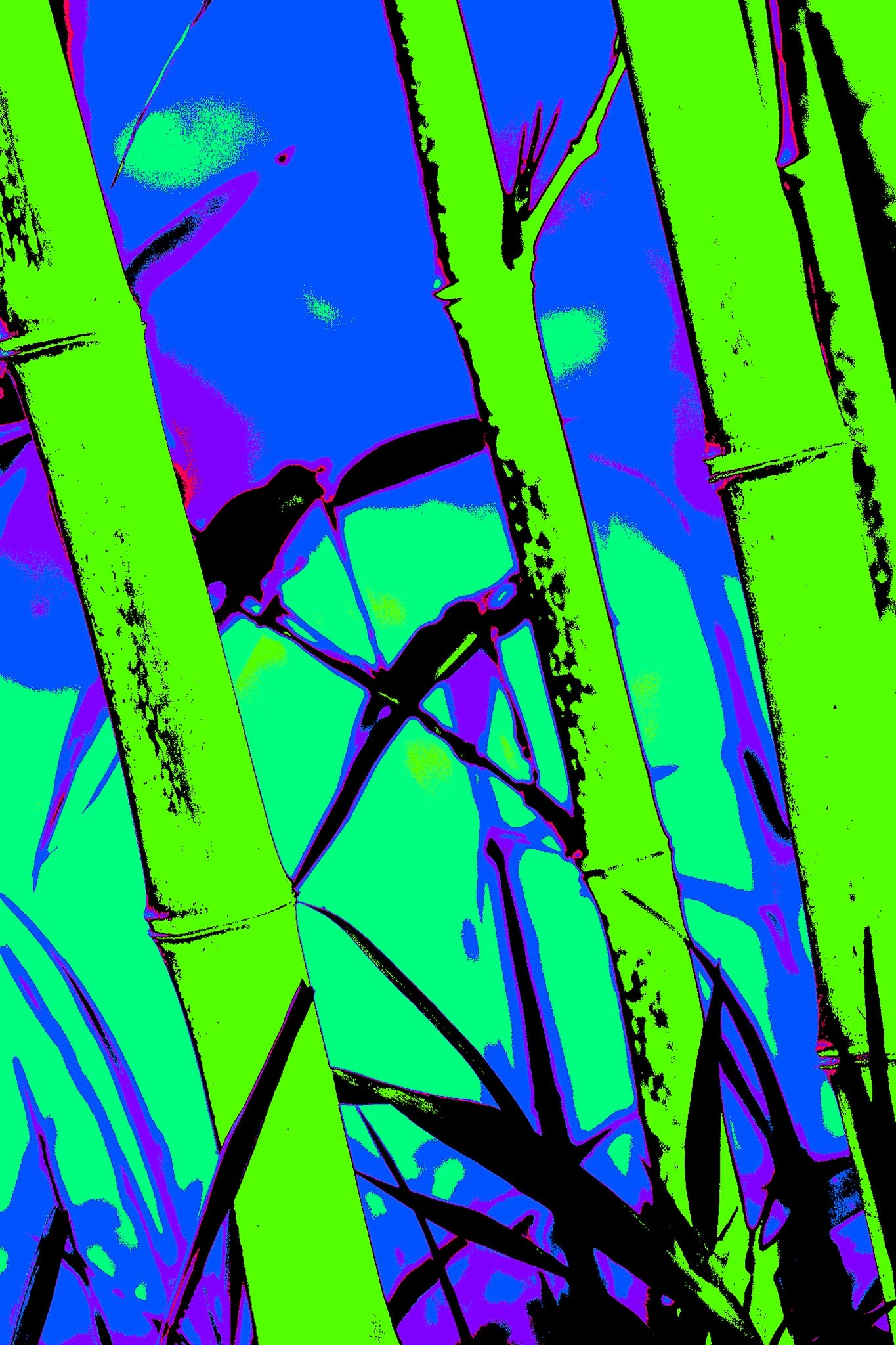 Xtra POP Set - Bamboo - 60x90cm Vertical (#102v5a)