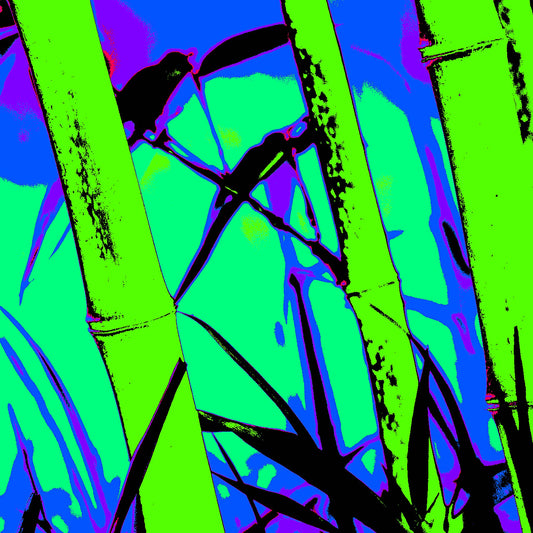 Xtra POP Set - Bamboo - 60x90cm Vertical (#102v5a)