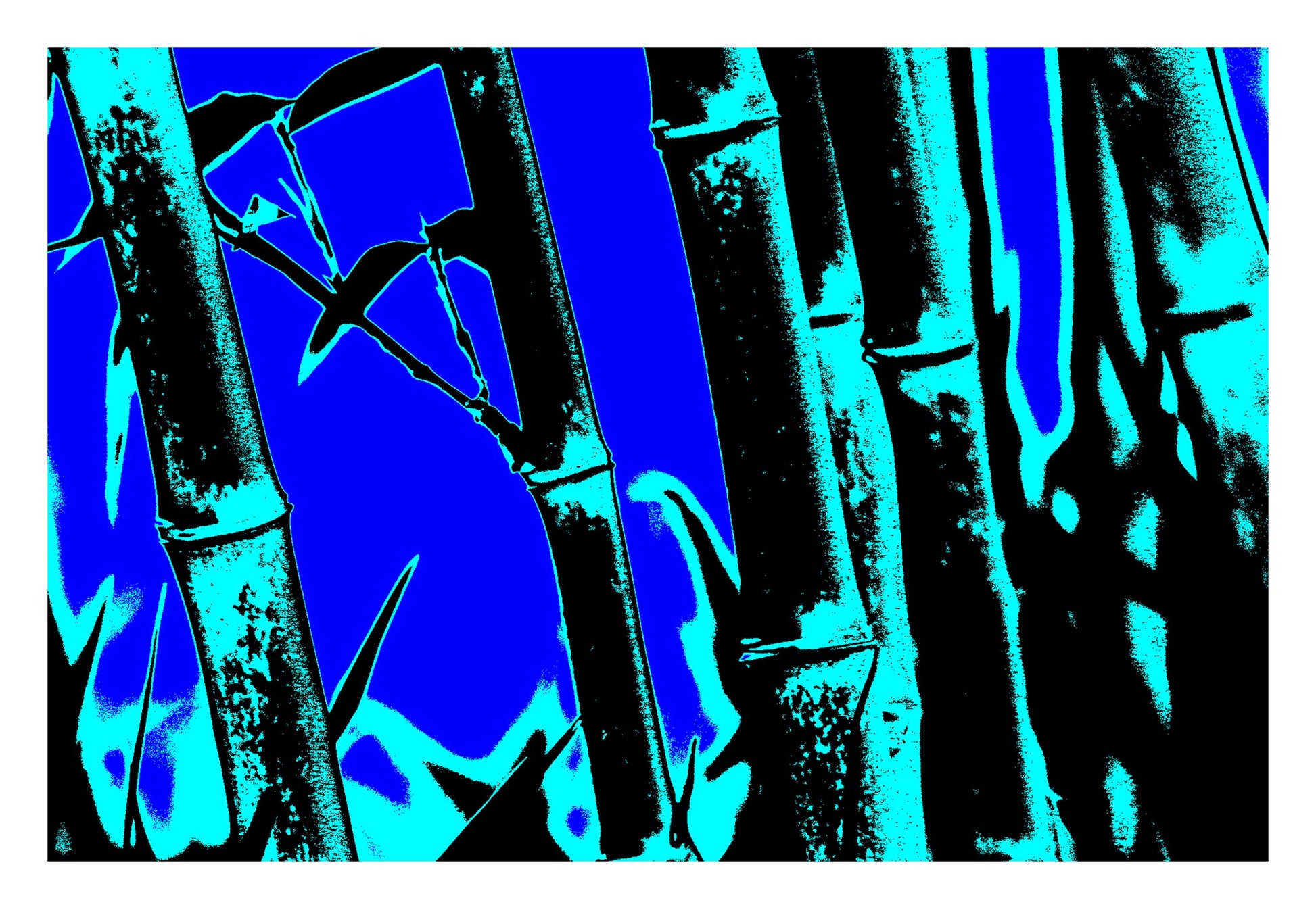 Xtra POP Set - Bamboo - 20061221-27v2 - 104x74cm, Stylised bamboo artwork featuring cyan bamboo stalks over a vibrant blue background; minimalist Pop Art treatment with high-contrast tones and cool graphic energy.