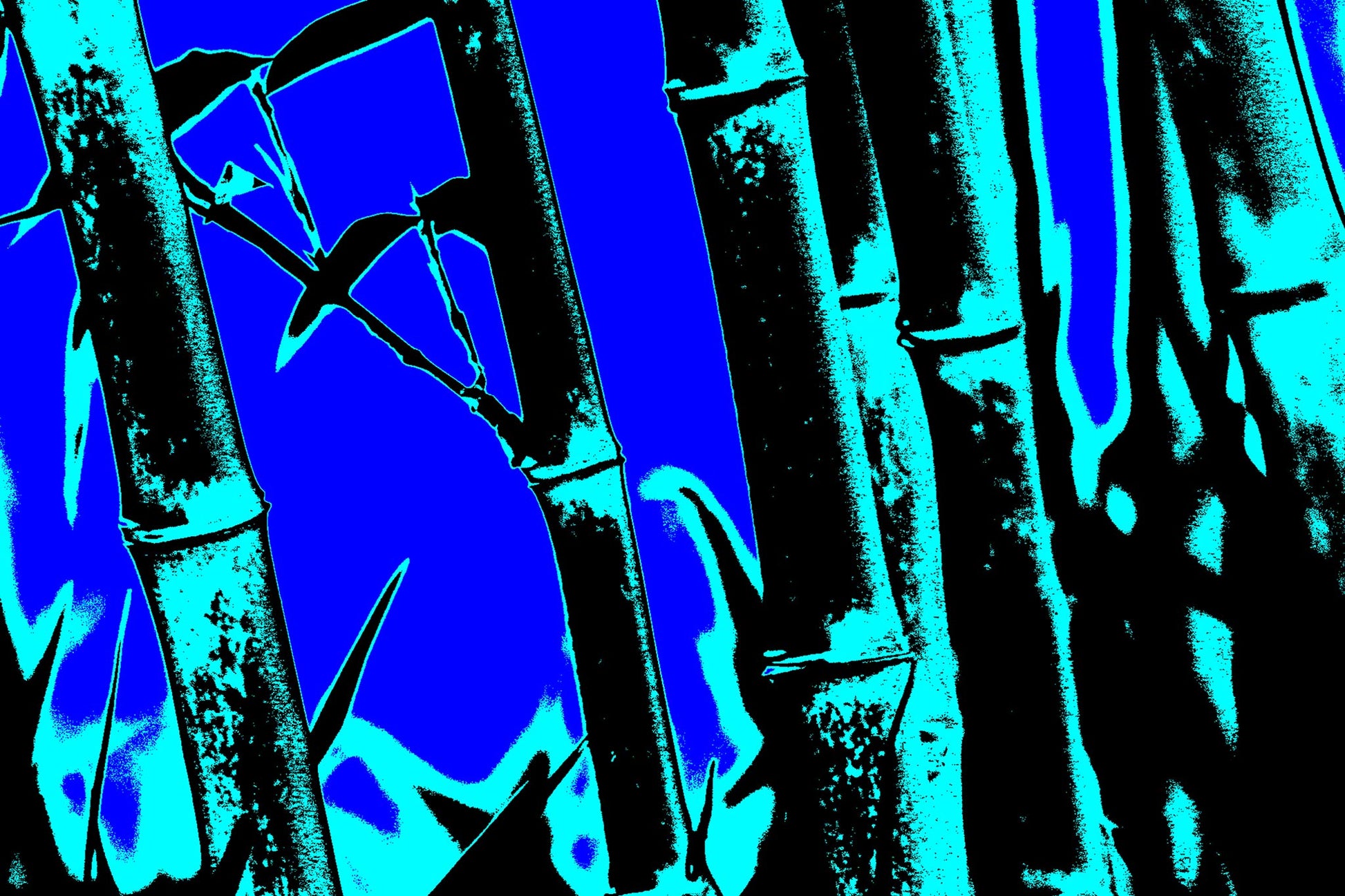 Xtra POP Set - Bamboo - 20061221-27v2 - 90x60cm, Stylised bamboo artwork featuring cyan bamboo stalks over a vibrant blue background; minimalist Pop Art treatment with high-contrast tones and cool graphic energy.