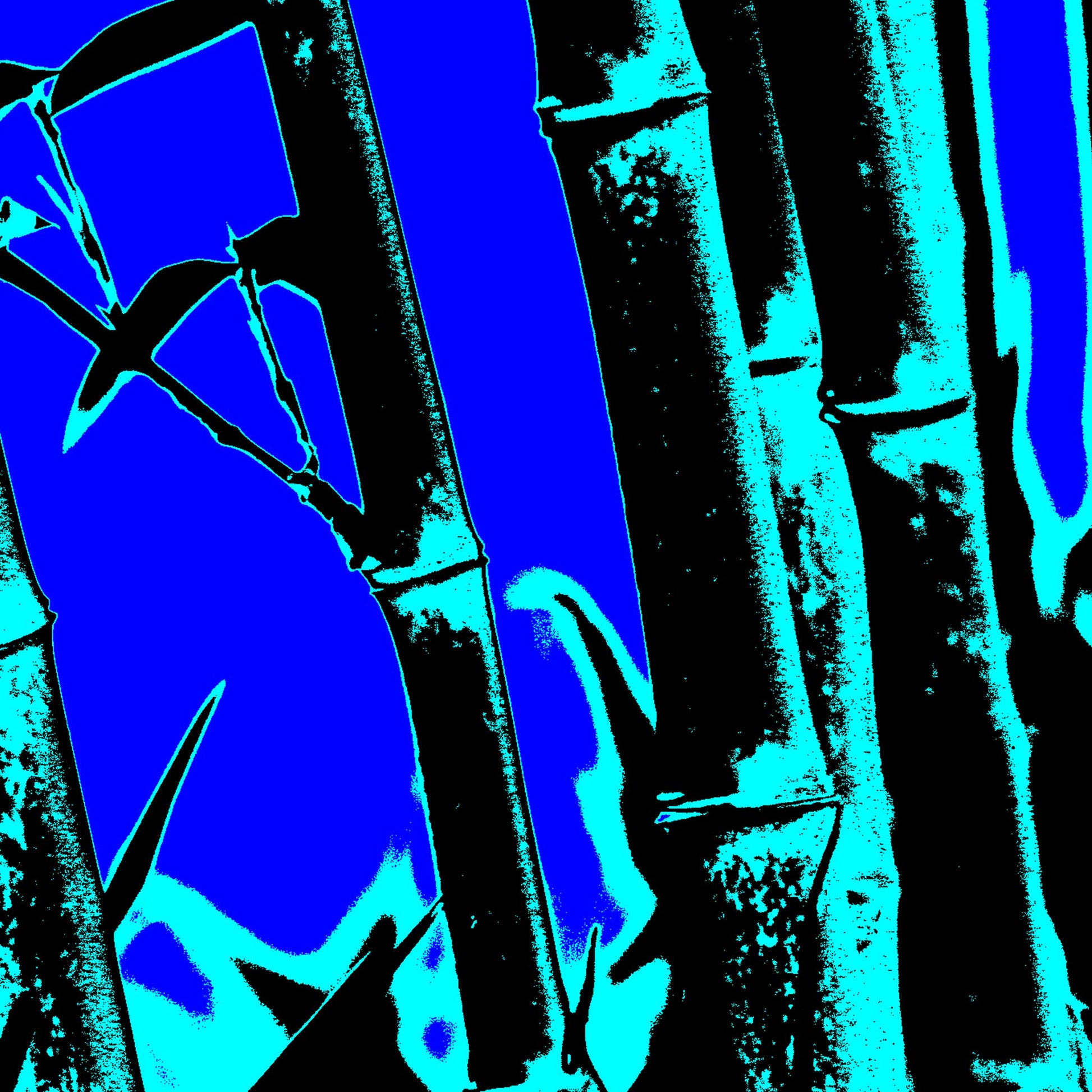 Xtra POP Set - Bamboo - 20061221-27v2 - Close Detail View, Stylised bamboo artwork featuring cyan bamboo stalks over a vibrant blue background; minimalist Pop Art treatment with high-contrast tones and cool graphic energy.