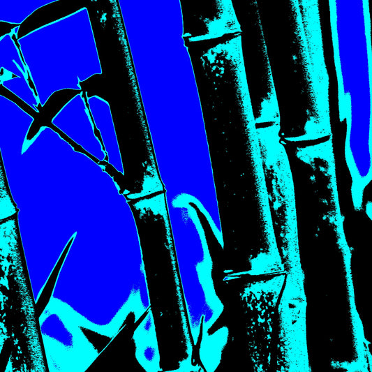 Xtra POP Set - Bamboo - 20061221-27v2 - Close Detail View, Stylised bamboo artwork featuring cyan bamboo stalks over a vibrant blue background; minimalist Pop Art treatment with high-contrast tones and cool graphic energy.