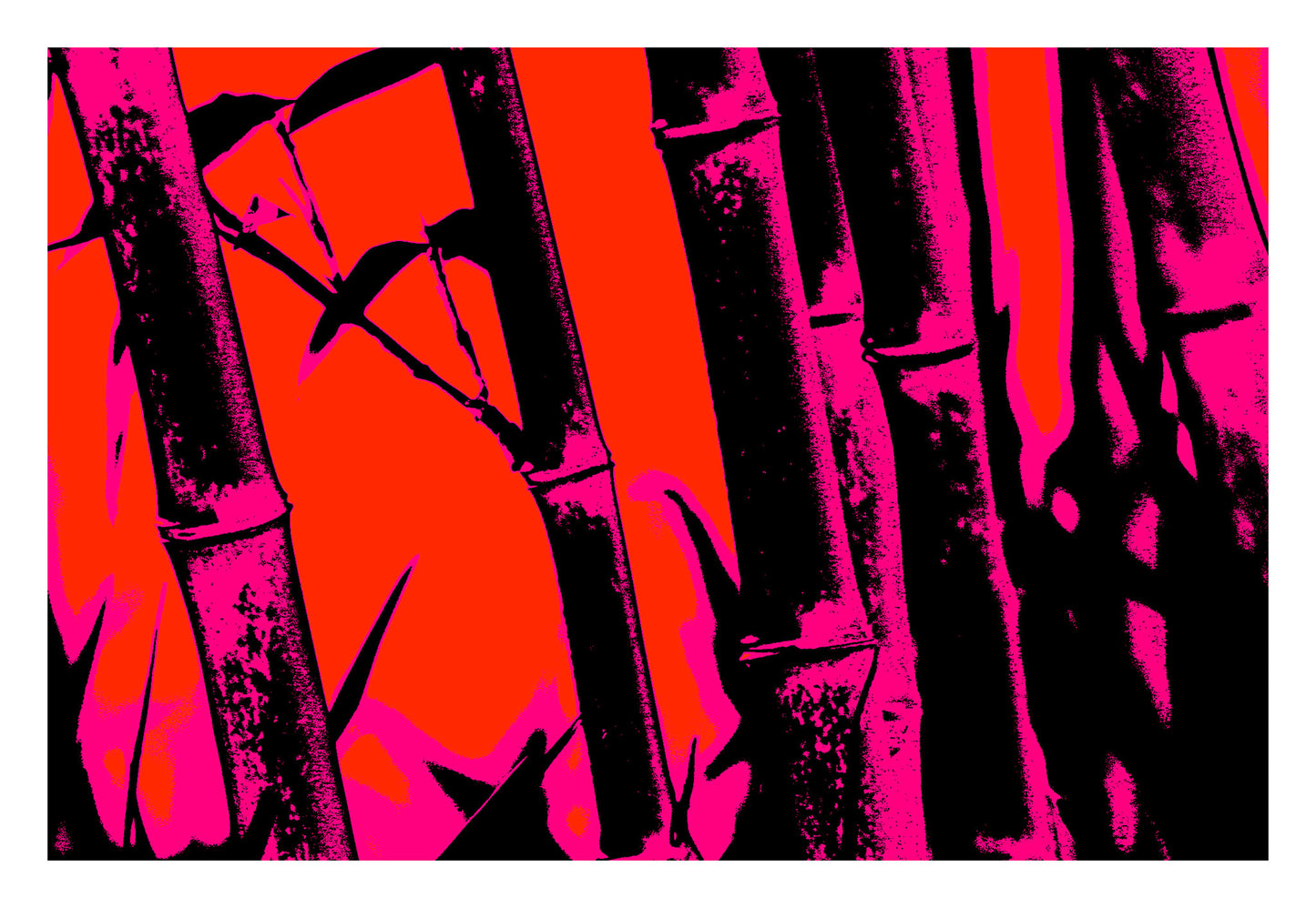 Xtra POP Set - Bamboo - 20061221-27v8 - 104x74cm, Bamboo silhouette artwork in hot pink and red with deep black accents; high-contrast Pop Art style inspired by vintage poster design and graphic minimalism.