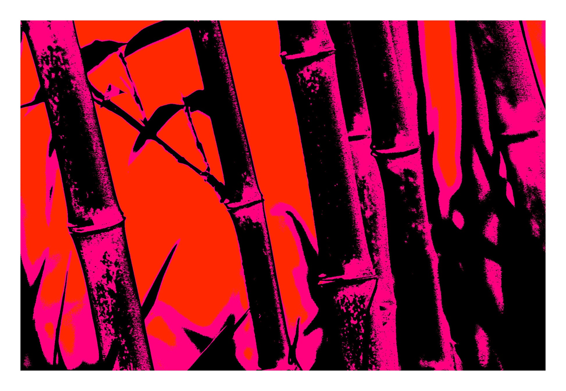 Xtra POP Set - Bamboo - 20061221-27v8 - 104x74cm, Bamboo silhouette artwork in hot pink and red with deep black accents; high-contrast Pop Art style inspired by vintage poster design and graphic minimalism.