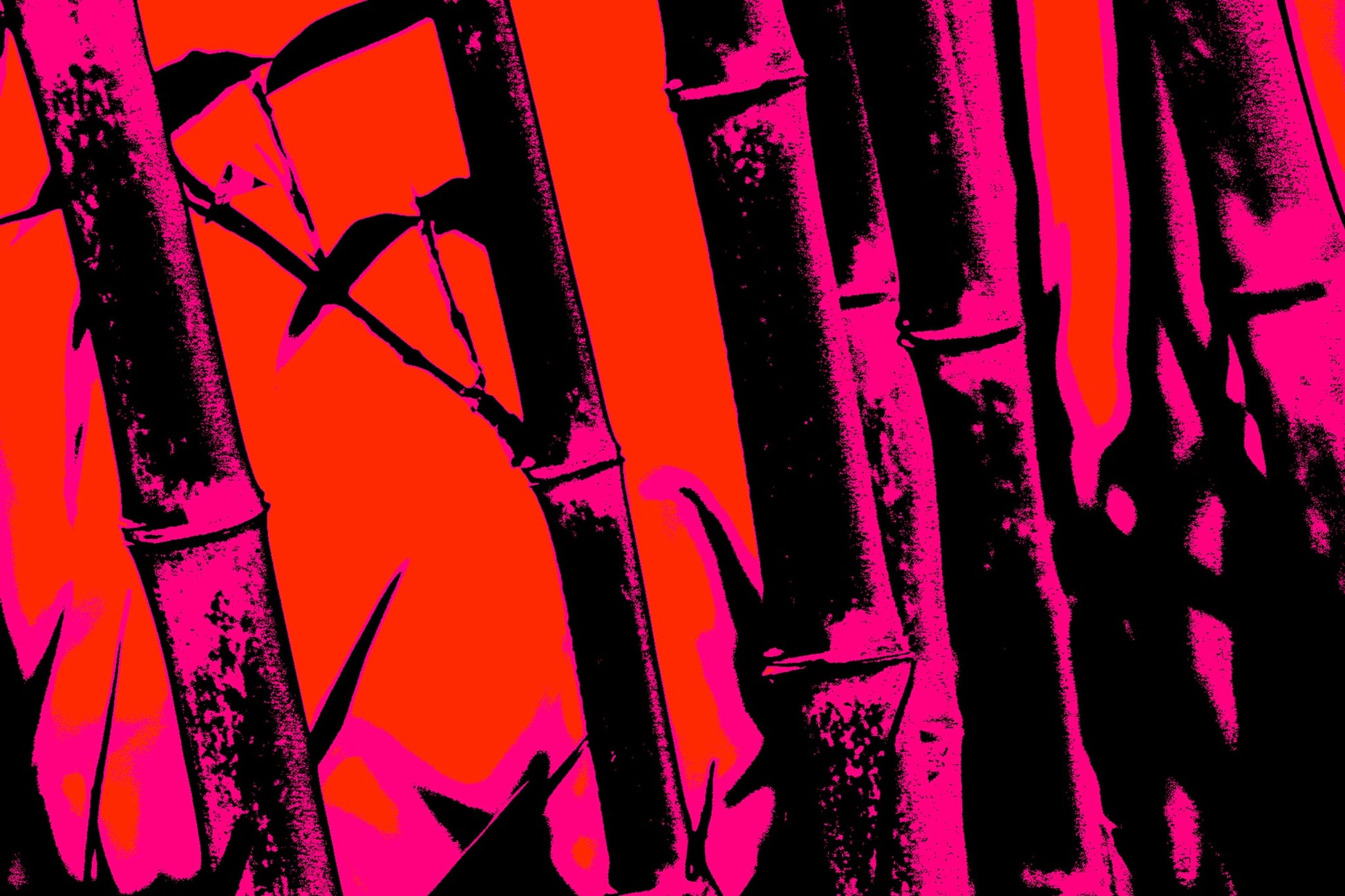 Xtra POP Set - Bamboo - 20061221-27v8 - 90x60cm, Bamboo silhouette artwork in hot pink and red with deep black accents; high-contrast Pop Art style inspired by vintage poster design and graphic minimalism.
