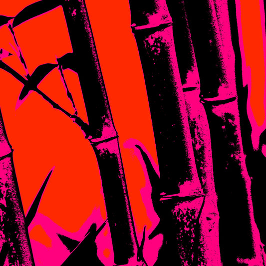 Xtra POP Set - Bamboo - 20061221-27v8 - Close Detail View, Bamboo silhouette artwork in hot pink and red with deep black accents; high-contrast Pop Art style inspired by vintage poster design and graphic minimalism.