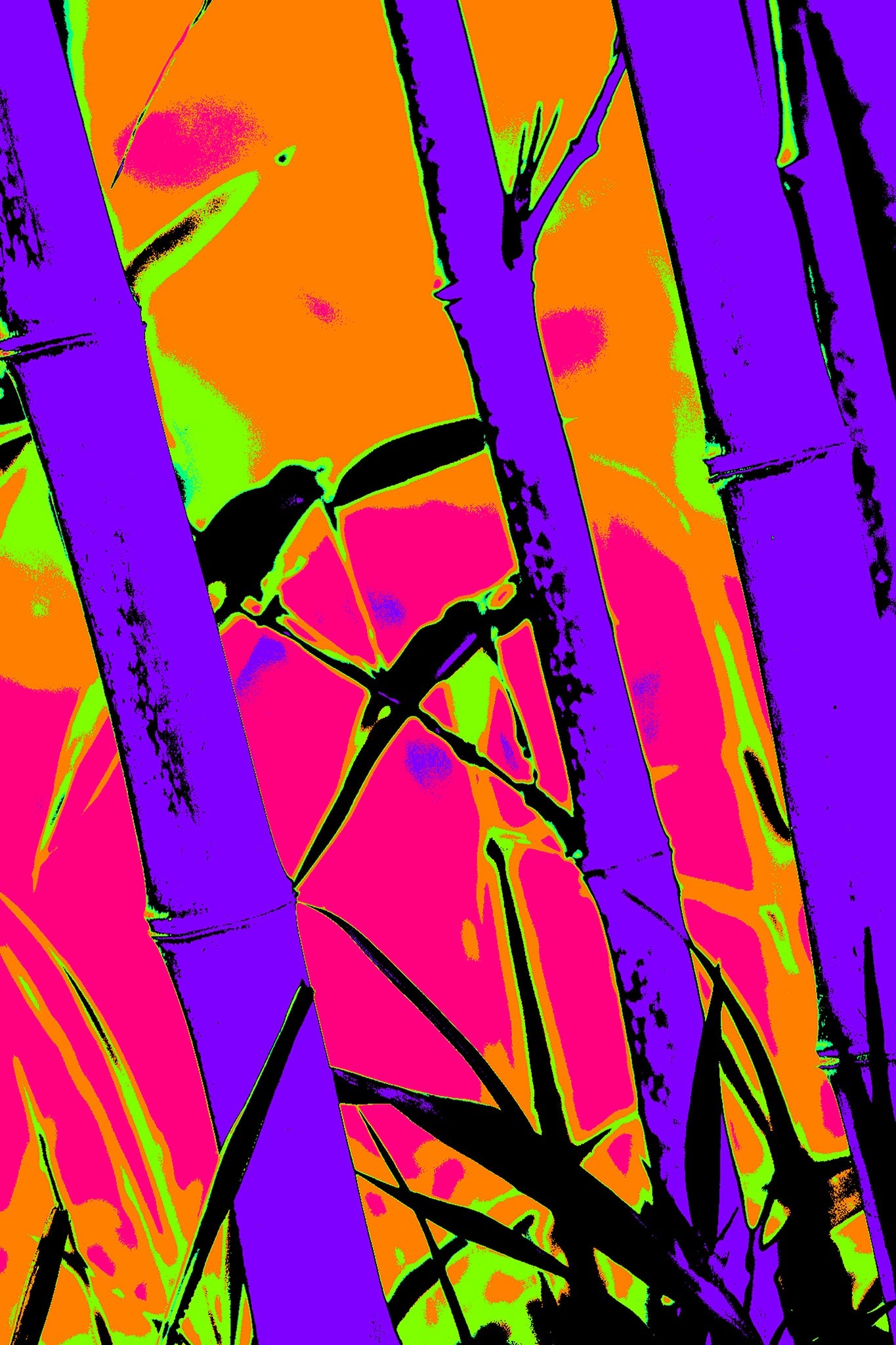 Xtra POP Set - Bamboo - 20070104-102v2 - 60x90cm, Stylised bamboo image with violet stalks, pink and orange background, green highlights, and black silhouetted birds; bold Pop Art remix with psychedelic tones and graphic impact.