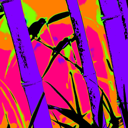 Xtra POP Set - Bamboo - 20070104-102v2 - Close Detail View, Stylised bamboo image with violet stalks, pink and orange background, green highlights, and black silhouetted birds; bold Pop Art remix with psychedelic tones and graphic impact.