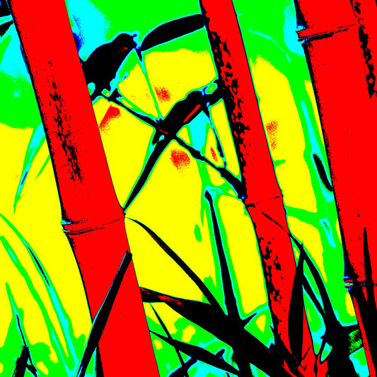 Xtra POP Set - Bamboo - 20070104-102v3 - Close Detail View, Stylised bamboo scene with intense red stalks, vibrant yellow-green background, and two silhouetted birds; bold Pop Art reinterpretation with graphic clarity and high visual impact.