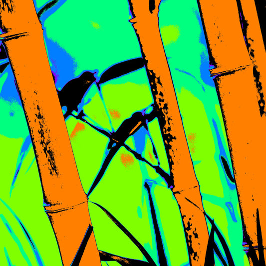Xtra POP Set - Bamboo - 20070104-102v4 - Close Detail View, Stylised bamboo scene with vivid orange stalks, bright green background, and two silhouetted birds; minimalist Pop Art aesthetic with bold colour and contrast.