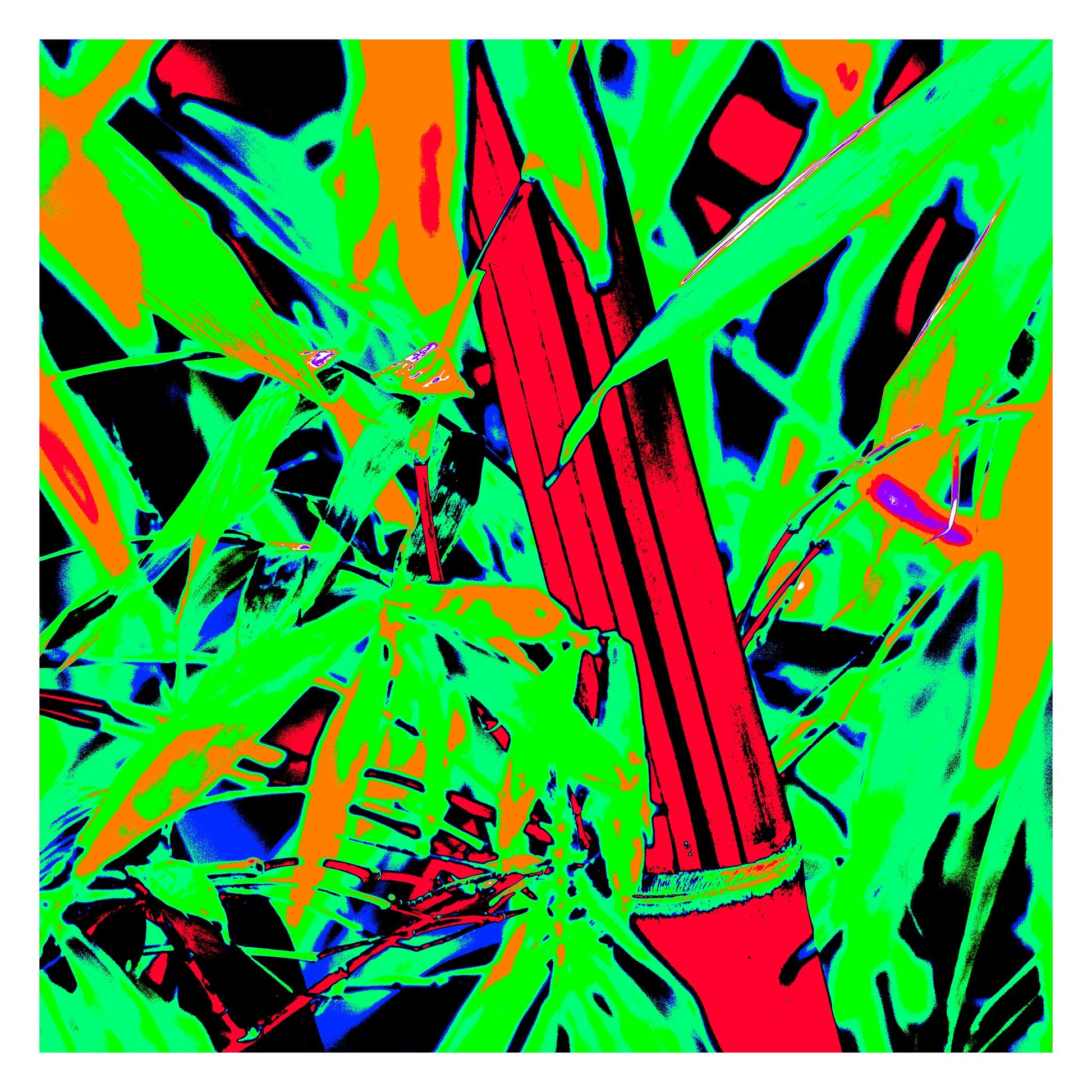 Xtra POP Set - Bamboo - 36904830v10 - 104x104cm, Digitally manipulated bamboo image with intense neon colour palette, bright red stalks, electric green foliage, and deep blues-styled with high contrast and bold Pop Art treatment.