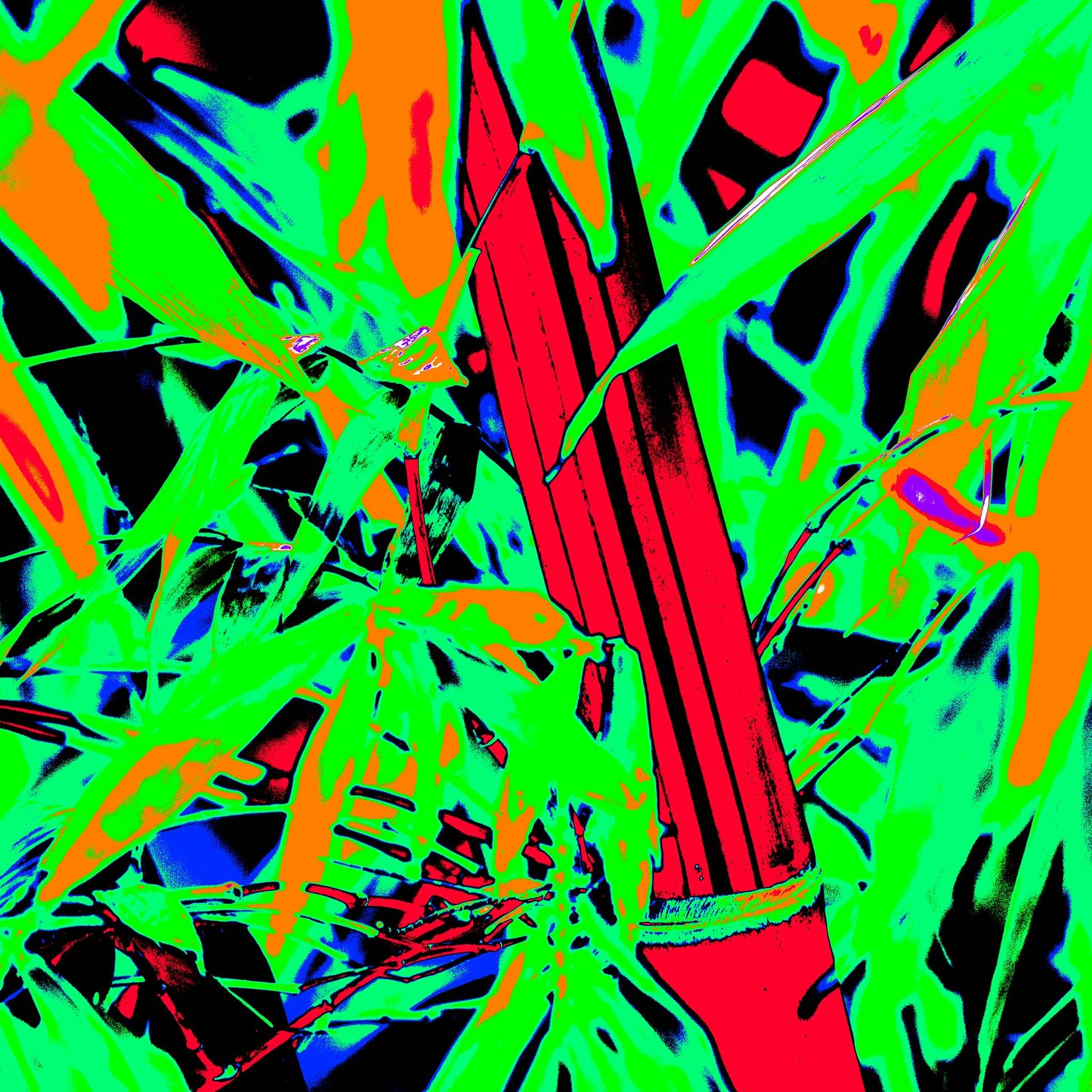 Xtra POP Set - Bamboo - 36904830v10 - 90x90cm, Digitally manipulated bamboo image with intense neon colour palette, bright red stalks, electric green foliage, and deep blues-styled with high contrast and bold Pop Art treatment.