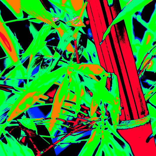 Xtra POP Set - Bamboo - 36904830v10 - Close Detail View, Digitally manipulated bamboo image with intense neon colour palette, bright red stalks, electric green foliage, and deep blues-styled with high contrast and bold Pop Art treatment.