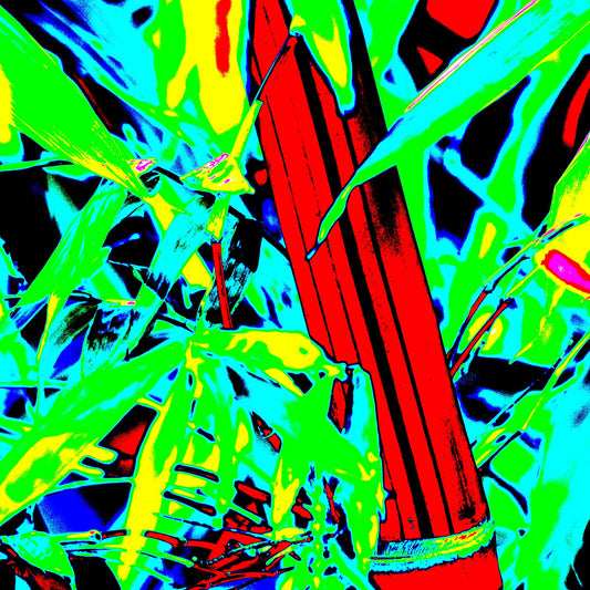 Xtra POP Set - Bamboo - 36904830v4 - Close Detail View, Bamboo artwork in vivid Pop Art style with red stalk, neon green foliage, and cyan-yellow accents; high-contrast digital remix of a tropical scene.