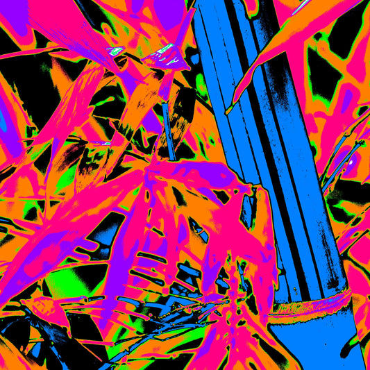 Xtra POP Set - Bamboo - 36904830v6 - Close Detail View, Pop Art bamboo with vivid electric blue stalk, hot pink foliage, and fiery orange-green background; a high-contrast abstract composition bursting with neon intensity.