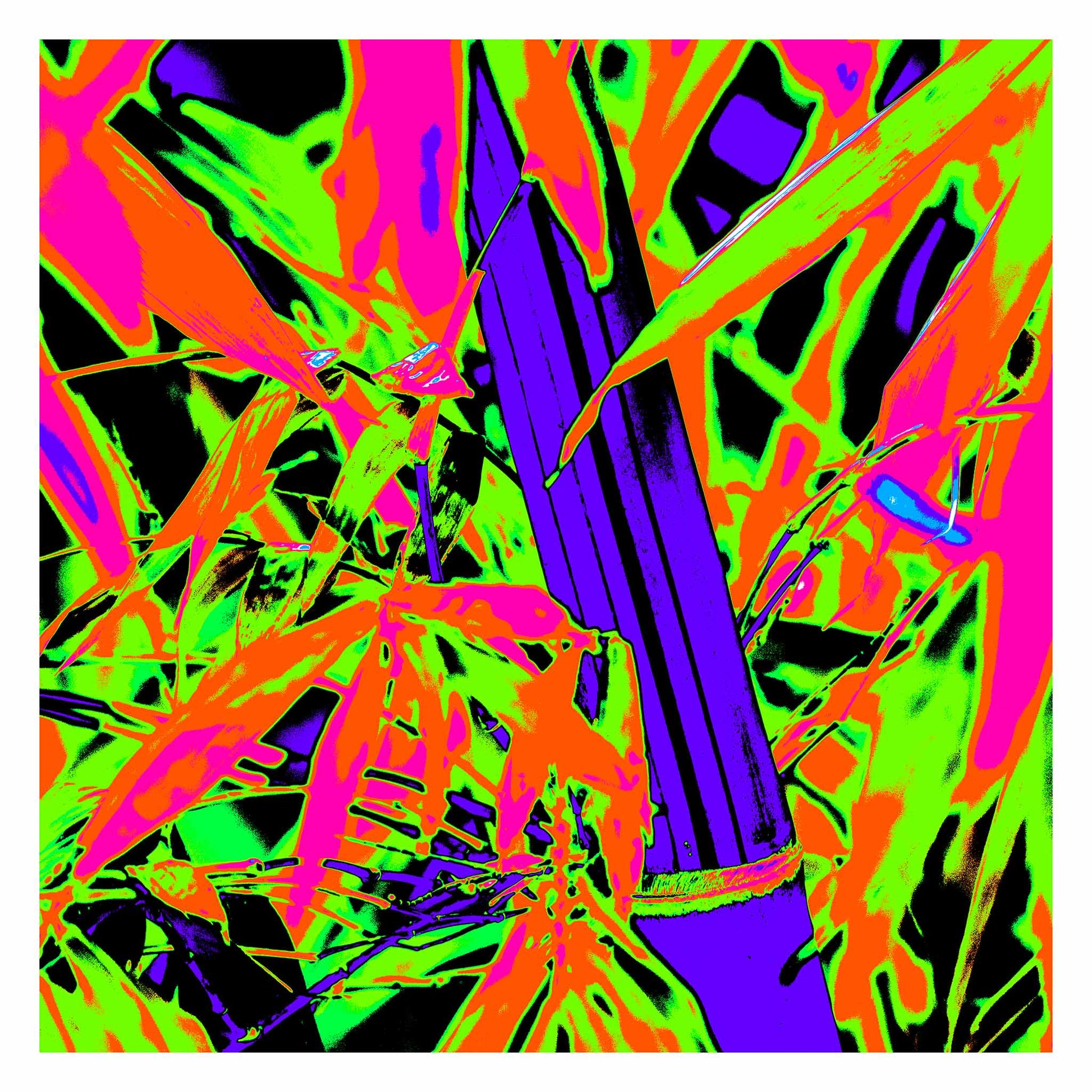 Xtra POP Set - Bamboo - 36904830v7 - 104x104cm, Bold neon reinterpretation of bamboo with vivid green, pink, orange, and deep indigo; high-contrast Pop Art style transforming natural forms into graphic, abstract energy.