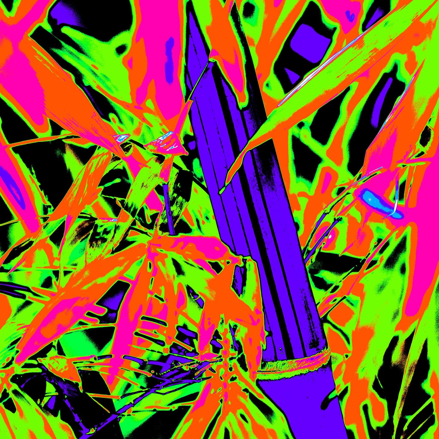 Xtra POP Set - Bamboo - 36904830v7 - 90x90cm, Bold neon reinterpretation of bamboo with vivid green, pink, orange, and deep indigo; high-contrast Pop Art style transforming natural forms into graphic, abstract energy.