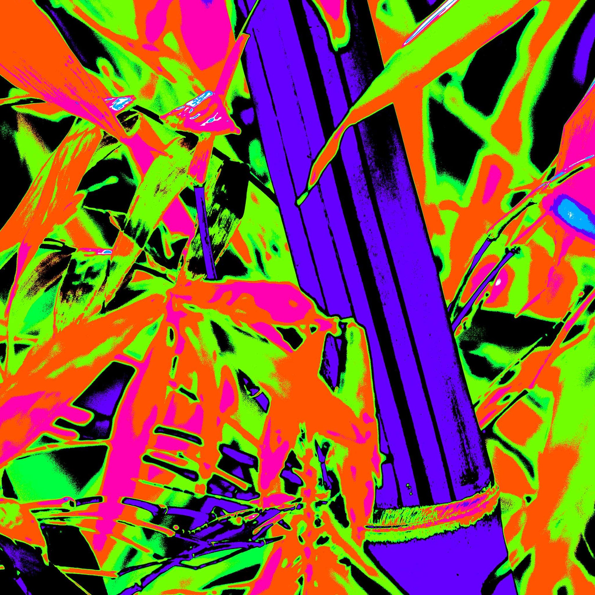 Xtra POP Set - Bamboo - 36904830v7 - Close Detail View, Bold neon reinterpretation of bamboo with vivid green, pink, orange, and deep indigo; high-contrast Pop Art style transforming natural forms into graphic, abstract energy.