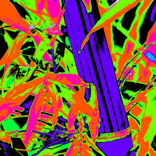 Xtra POP Set - Bamboo - 36904830v7 - Close Detail View, Bold neon reinterpretation of bamboo with vivid green, pink, orange, and deep indigo; high-contrast Pop Art style transforming natural forms into graphic, abstract energy.