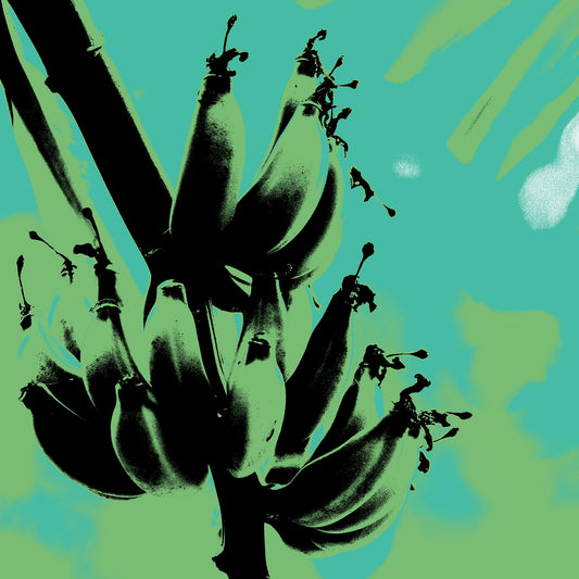 Xtra POP Set - Bananas - Swans Rd - 143464v5 - Close Detail View, Stylised black banana silhouette over a green and turquoise screen print-style background, with soft retro hues.