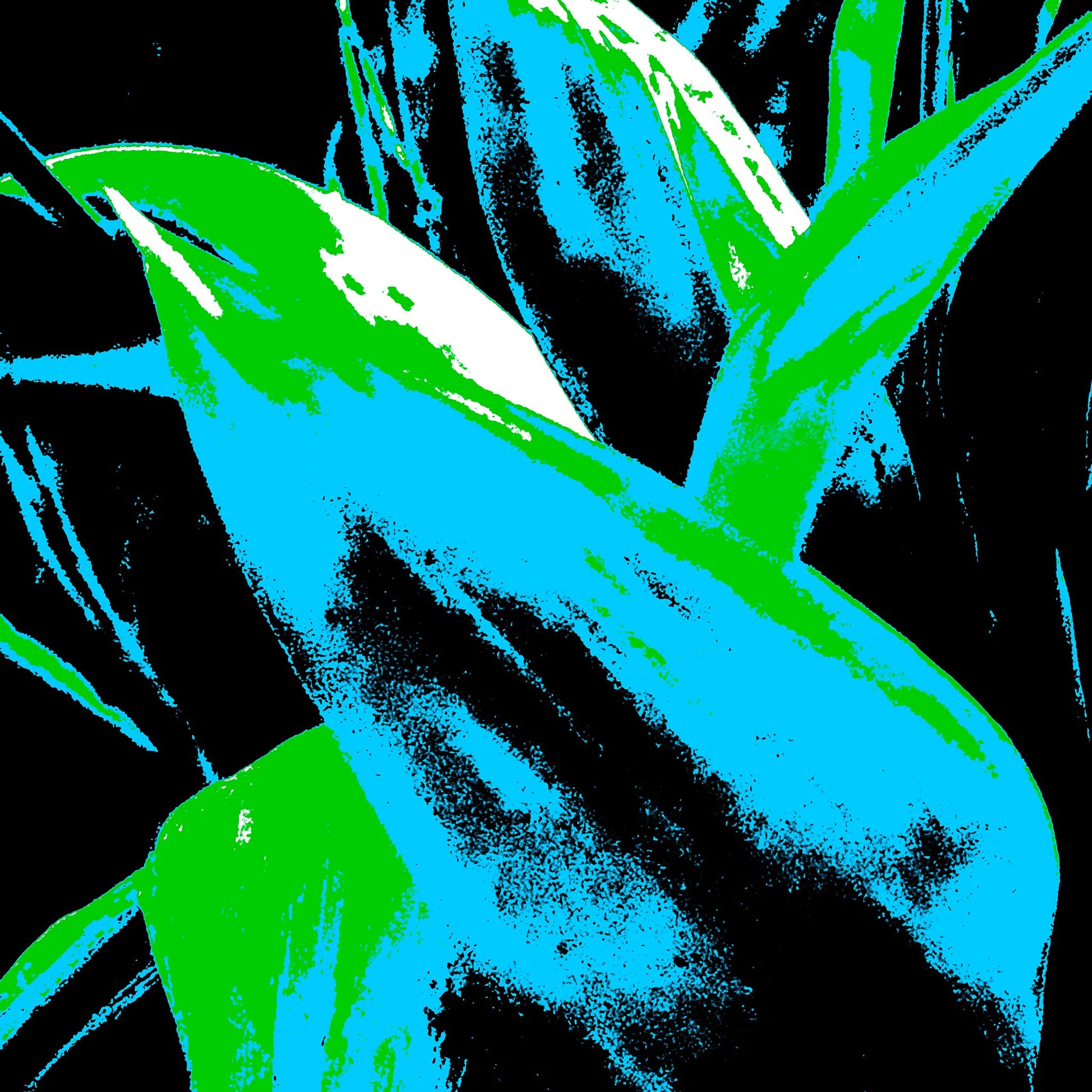Xtra POP Set - Bird of Paradise - 185937v13 - Close Detail View, Striking cyan and green tropical leaves in bold silhouette against deep black, rendered in high-impact Pop Art style.