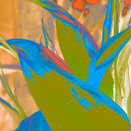 Xtra POP Set - Bird of Paradise - 185937v2 - Close Detail View, Stylised green and blue tropical plant with red accents and sandy background, in a vibrant pop art palette.