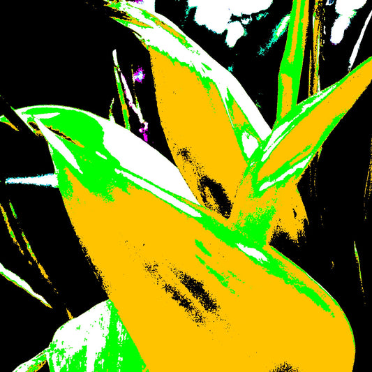 Xtra POP Set - Bird of Paradise - 185937v6 - Close Detail View, Stylised yellow and green tropical leaves with stark black contrasts in vivid Pop Art treatment.