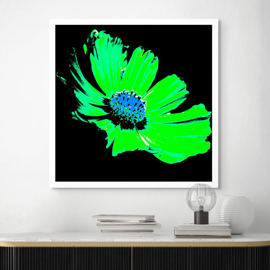 Xtra POP Set - Echinacea Flower - 990319v11 - Room View, A high-impact pop art style flower featuring bright green petals and a vivid blue centre against a black background. Electrifying and graphic. Limited edition fine art print.