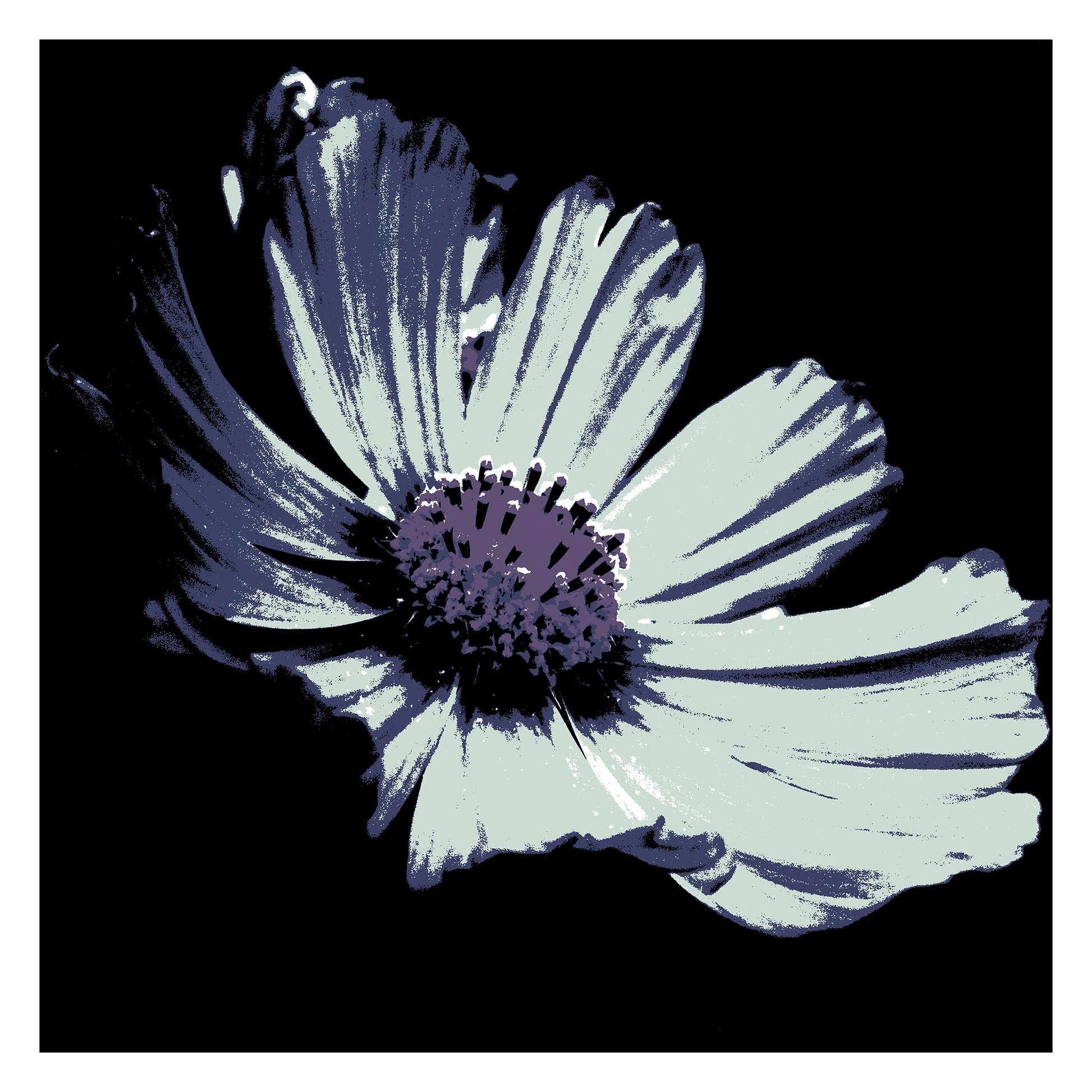 Xtra POP Set - Echinacea Flower - 990319v13 - 104x104cm, A mint-toned pop art-style flower with indigo shading and a violet centre, set against a black background. Cool and moody aesthetic. Limited edition fine art print.