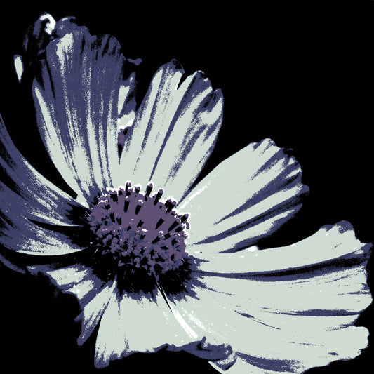 Xtra POP Set - Echinacea Flower - 990319v13 - Close Detail View, A mint-toned pop art-style flower with indigo shading and a violet centre, set against a black background. Cool and moody aesthetic. Limited edition fine art print.